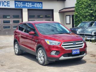 2019 Ford Escape SEL, AWD - Photo #1