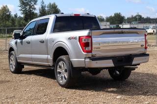 2023 Ford F-150 PLATINUM Photo