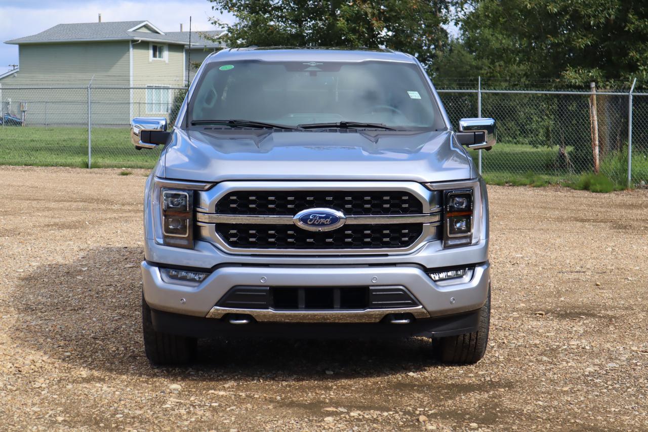 2023 Ford F-150 PLATINUM Photo5