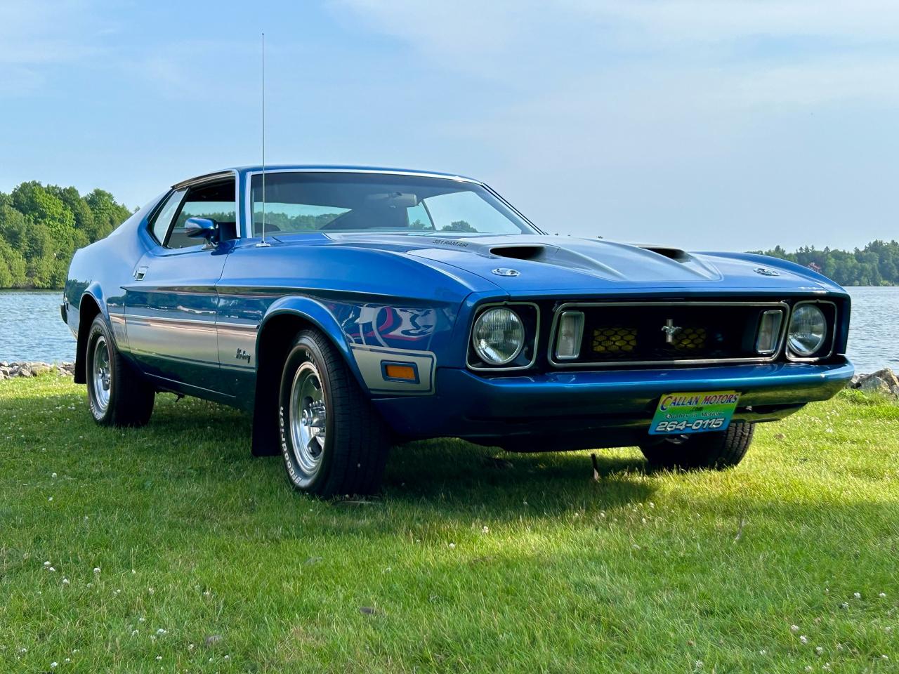 1973 Ford Mustang Mach 1 SPORTSROOF - Photo #23