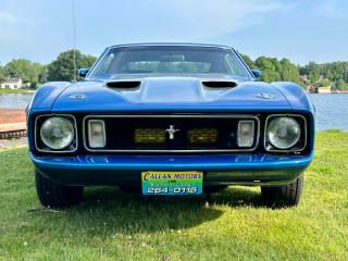1973 Ford Mustang Mach 1 SPORTSROOF - Photo #13