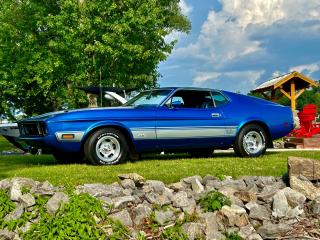 1973 Ford Mustang Mach 1 SPORTSROOF - Photo #19