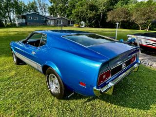 1973 Ford Mustang Mach 1 SPORTSROOF - Photo #18