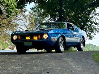 1973 Ford Mustang Mach 1 SPORTSROOF - Photo #27