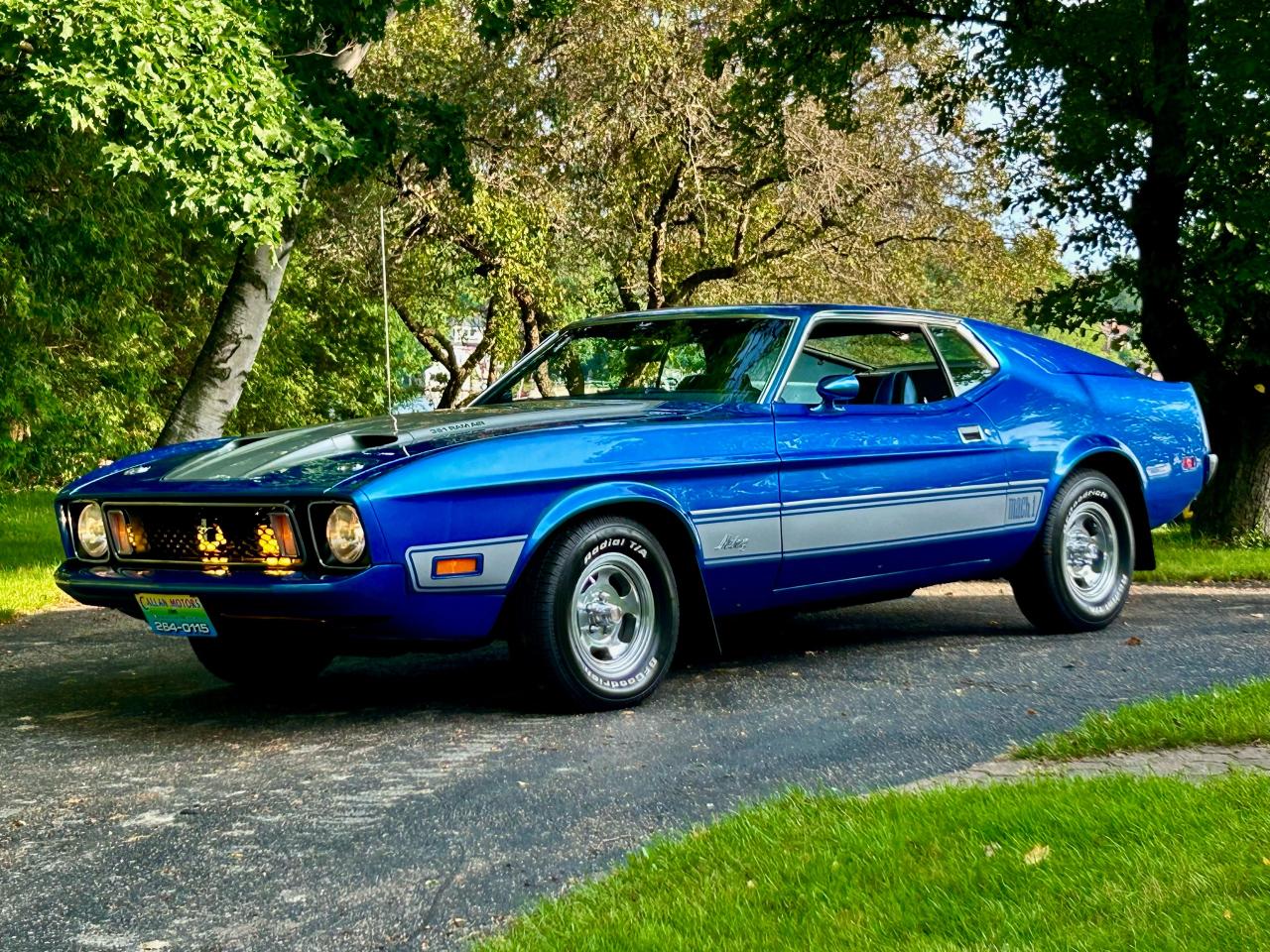 1973 Ford Mustang Mach 1 SPORTSROOF - Photo #26