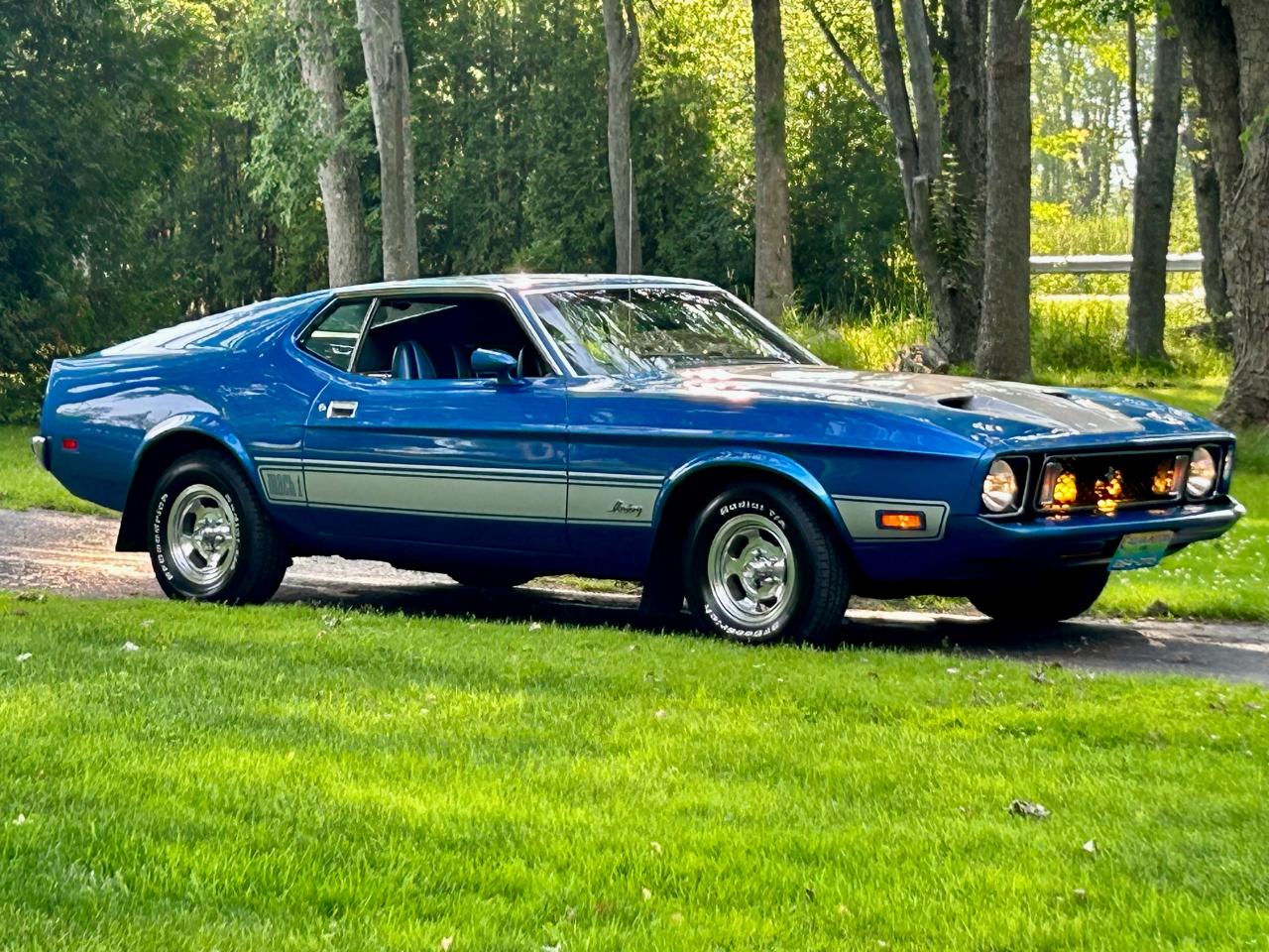 1973 Ford Mustang Mach 1 SPORTSROOF - Photo #36