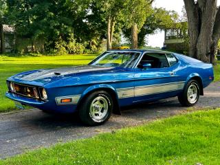 1973 Ford Mustang Mach 1 SPORTSROOF - Photo #43