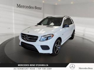 Used 2018 Mercedes-Benz GLE AMG GLE 43 for sale in St. John's, NL