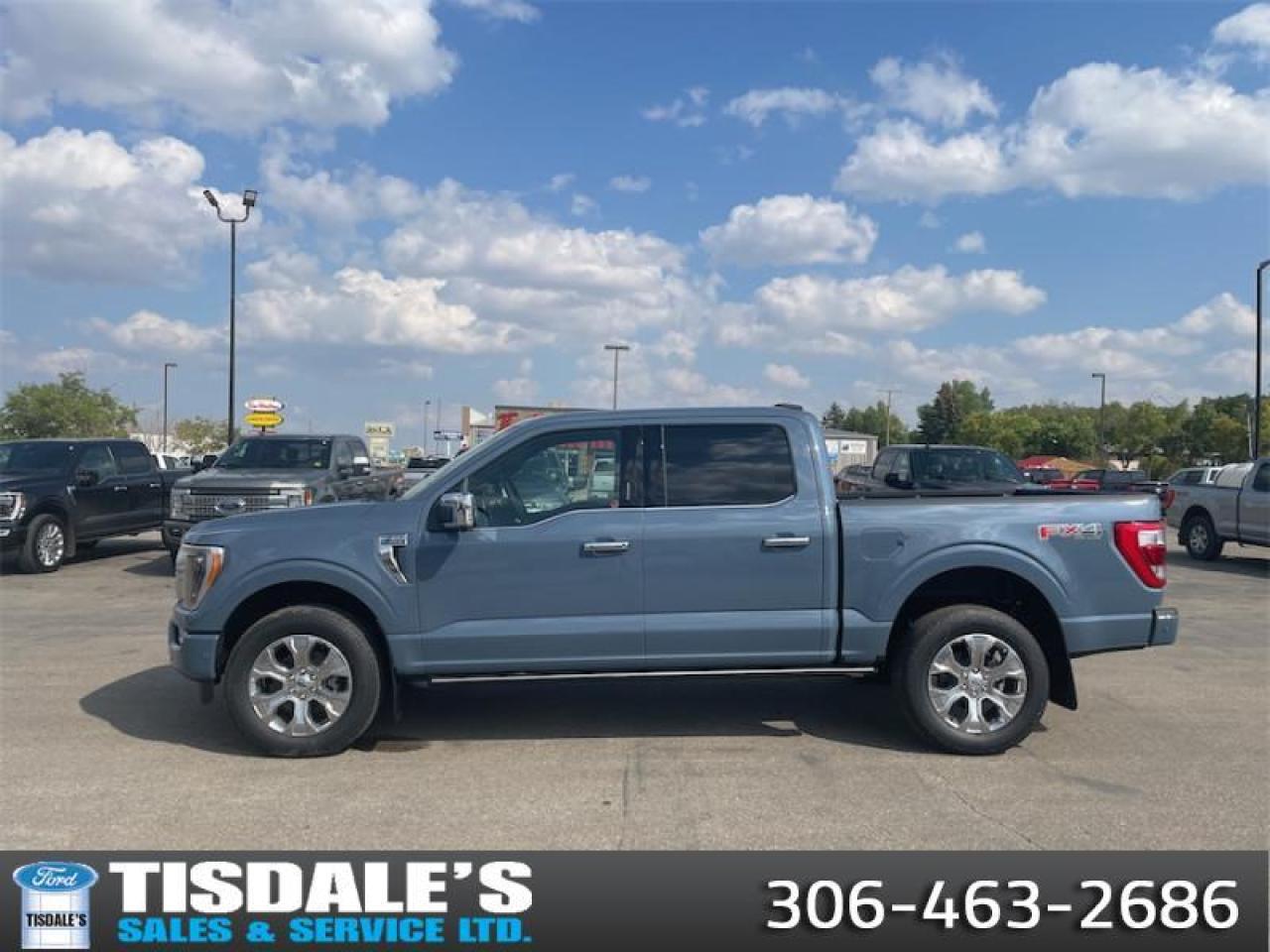 New 2023 Ford F-150 Platinum  - Leather Seats for sale in Kindersley, SK