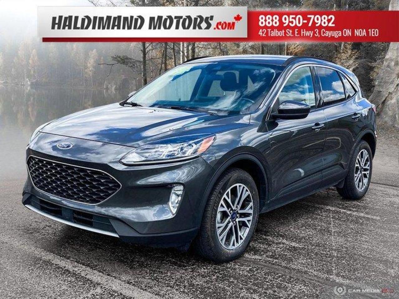 Used 2020 Ford Escape SEL for sale in Cayuga, ON