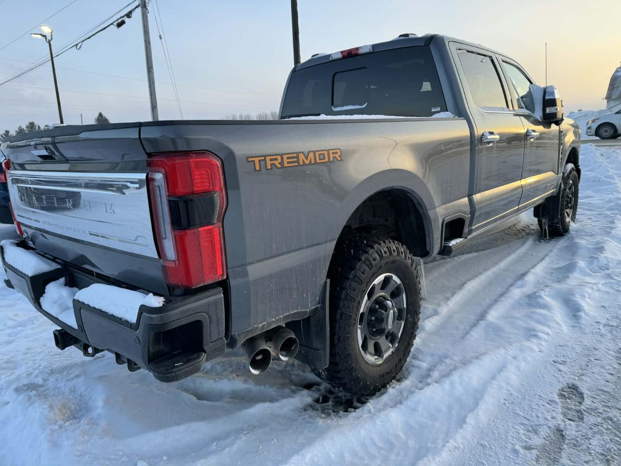 2023 Ford F-250 Super Duty SRW 4X4 CREW CAB PICKUP/ Photo