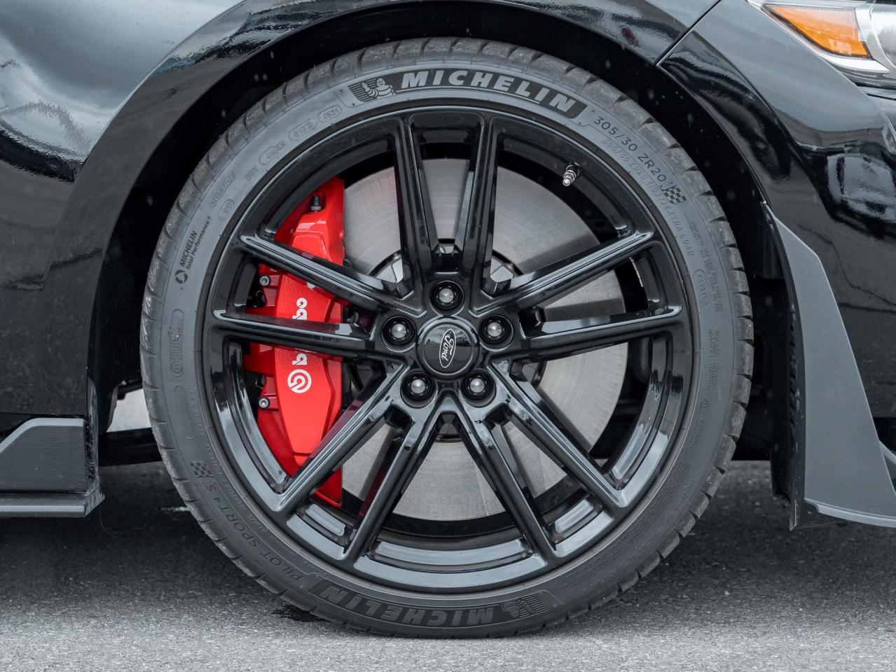 2022 Ford Mustang Shelby GT500 Photo