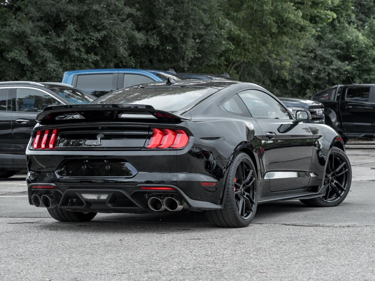 2022 Ford Mustang Shelby GT500 Photo