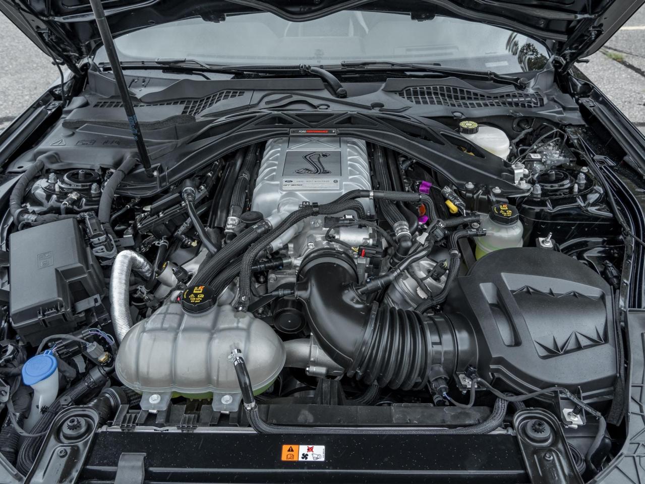 2022 Ford Mustang Shelby GT500 Photo