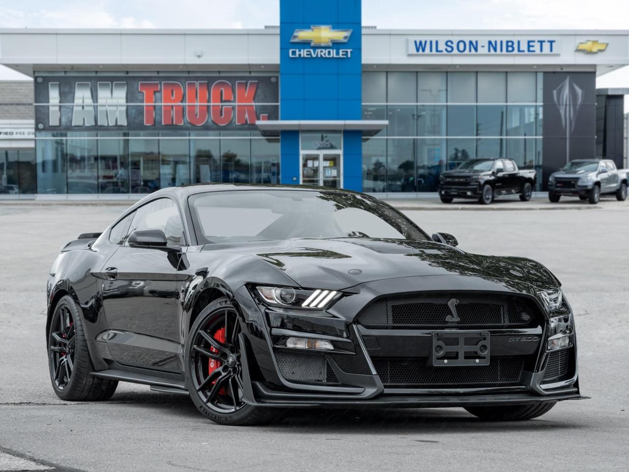 2022 Ford Mustang Shelby GT500 Photo