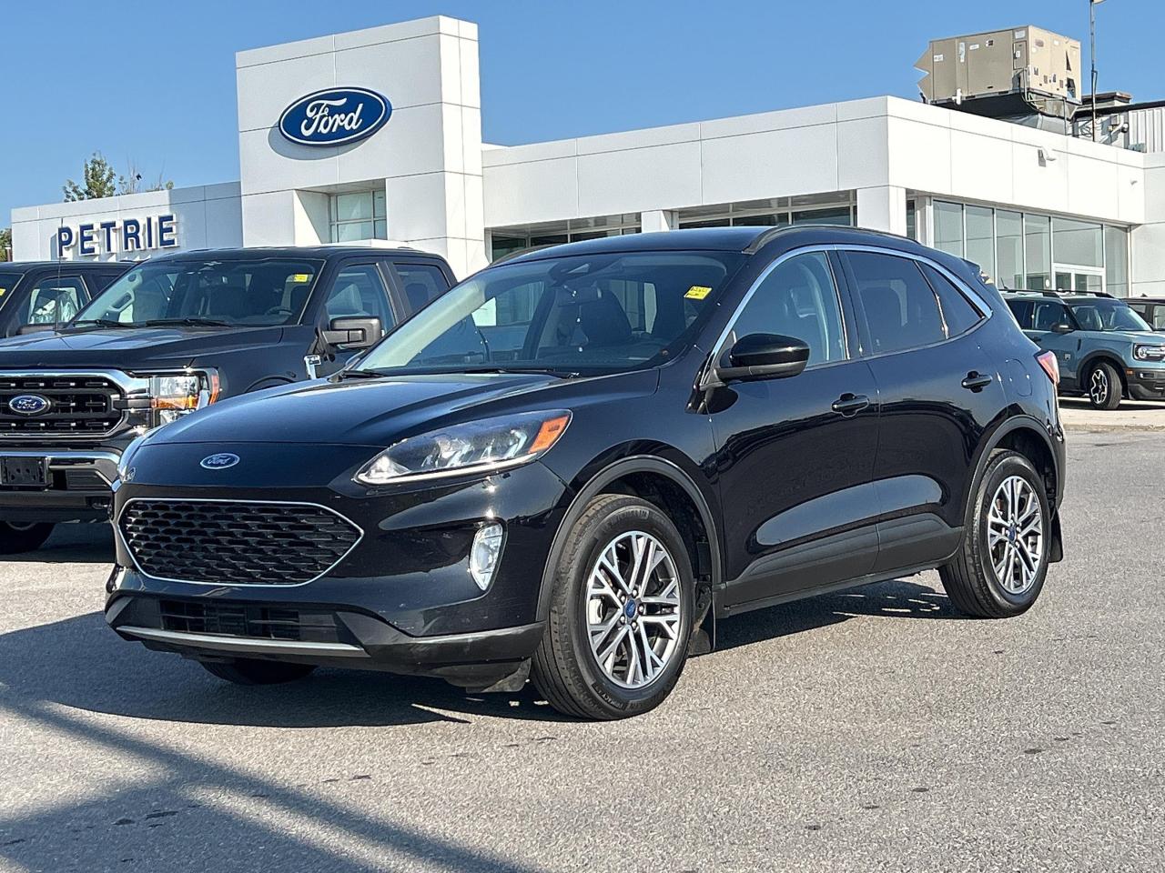 Used 2020 Ford Escape SEL for sale in Kingston, ON