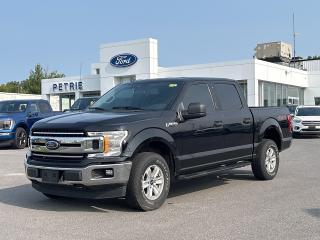 Used 2020 Ford F-150 BASE for sale in Kingston, ON