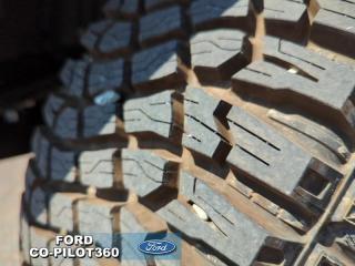 2023 Ford Bronco Badlands Photo