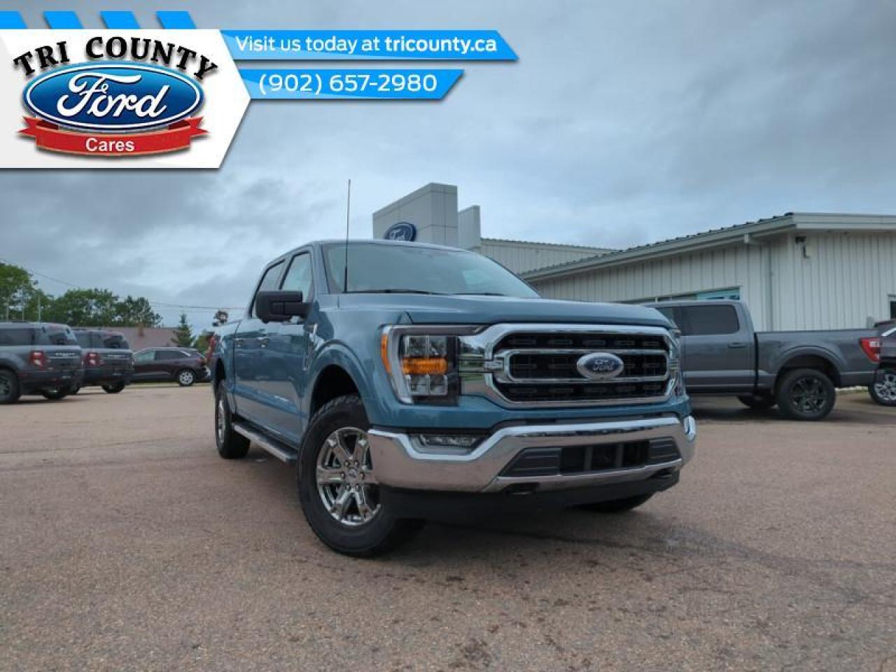 Image - 2023 Ford F-150 XLT