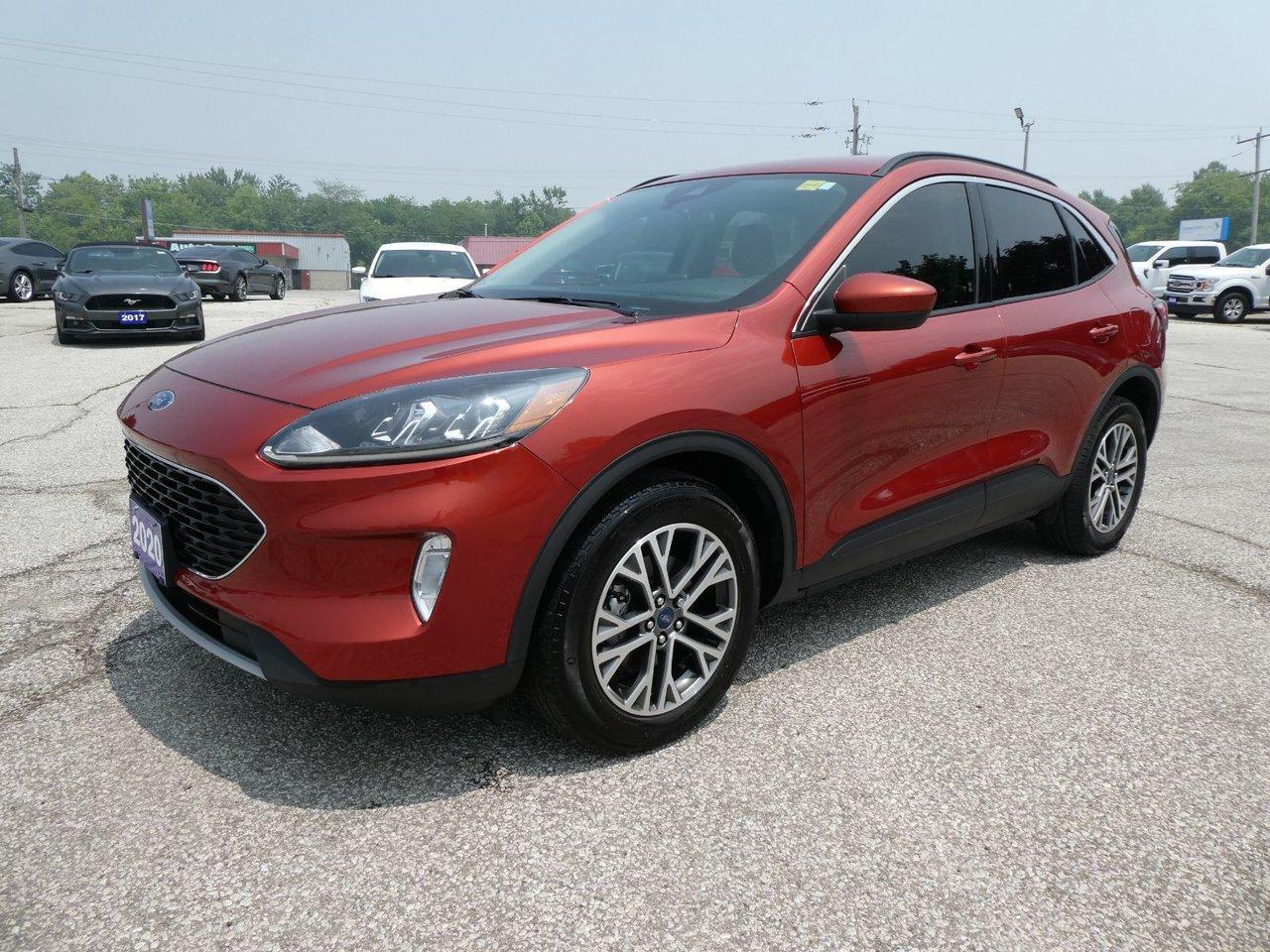 Used 2020 Ford Escape SEL SEL for sale in Essex, ON