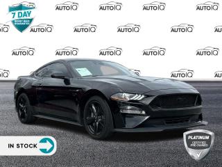 Used 2022 Ford Mustang GT BLACK ACCENT PACKAGE for sale in St Catharines, ON