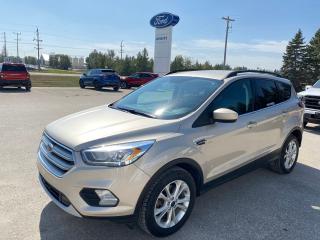 2017 Ford Escape SE Photo