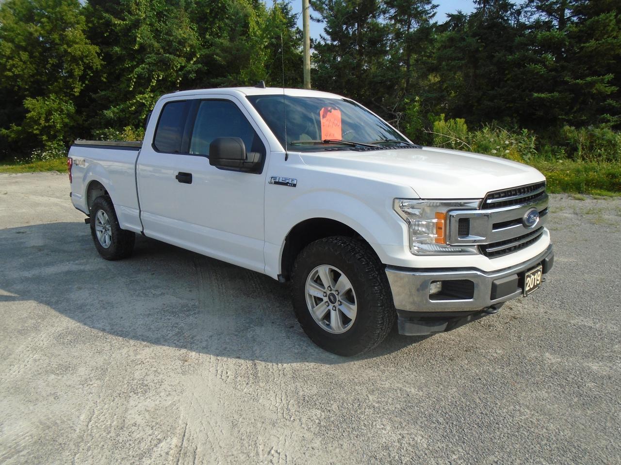 Used 2019 Ford F-150 XLT Supercab 4X4 for sale in Beaverton, ON