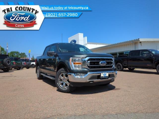 Image - 2021 Ford F-150 