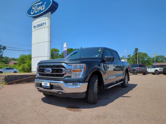 2021 Ford F-150 XLT Photo2