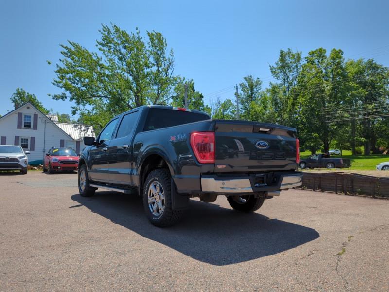 2021 Ford F-150 XLT Photo5