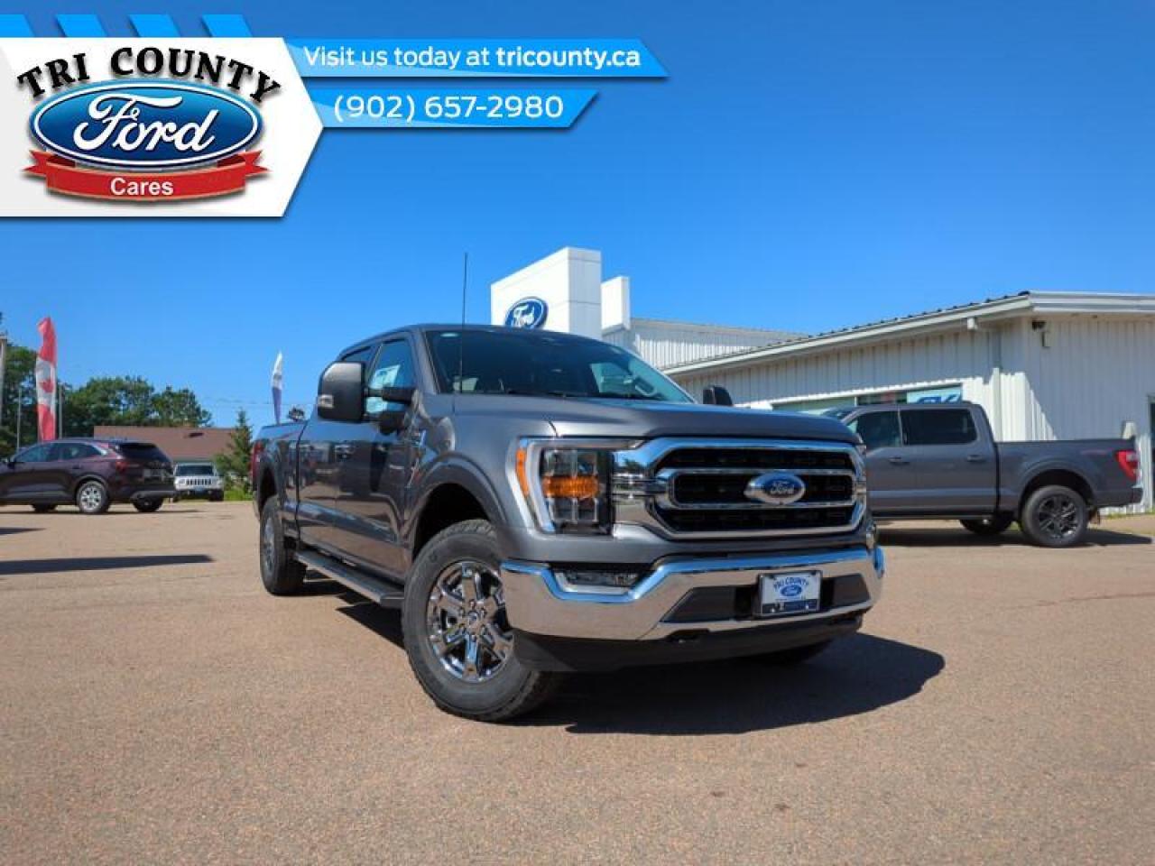 2023 Ford F-150 XLT Photo0