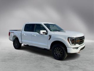 2022 Ford F-150 Tremor Photo