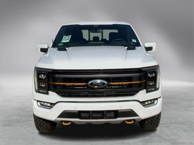 2022 Ford F-150 Tremor Photo2