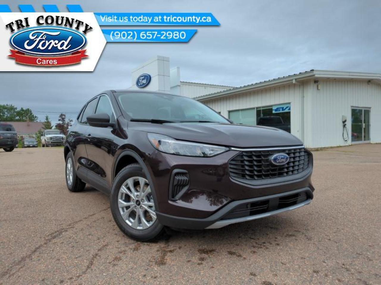 Image - 2023 Ford Escape Active