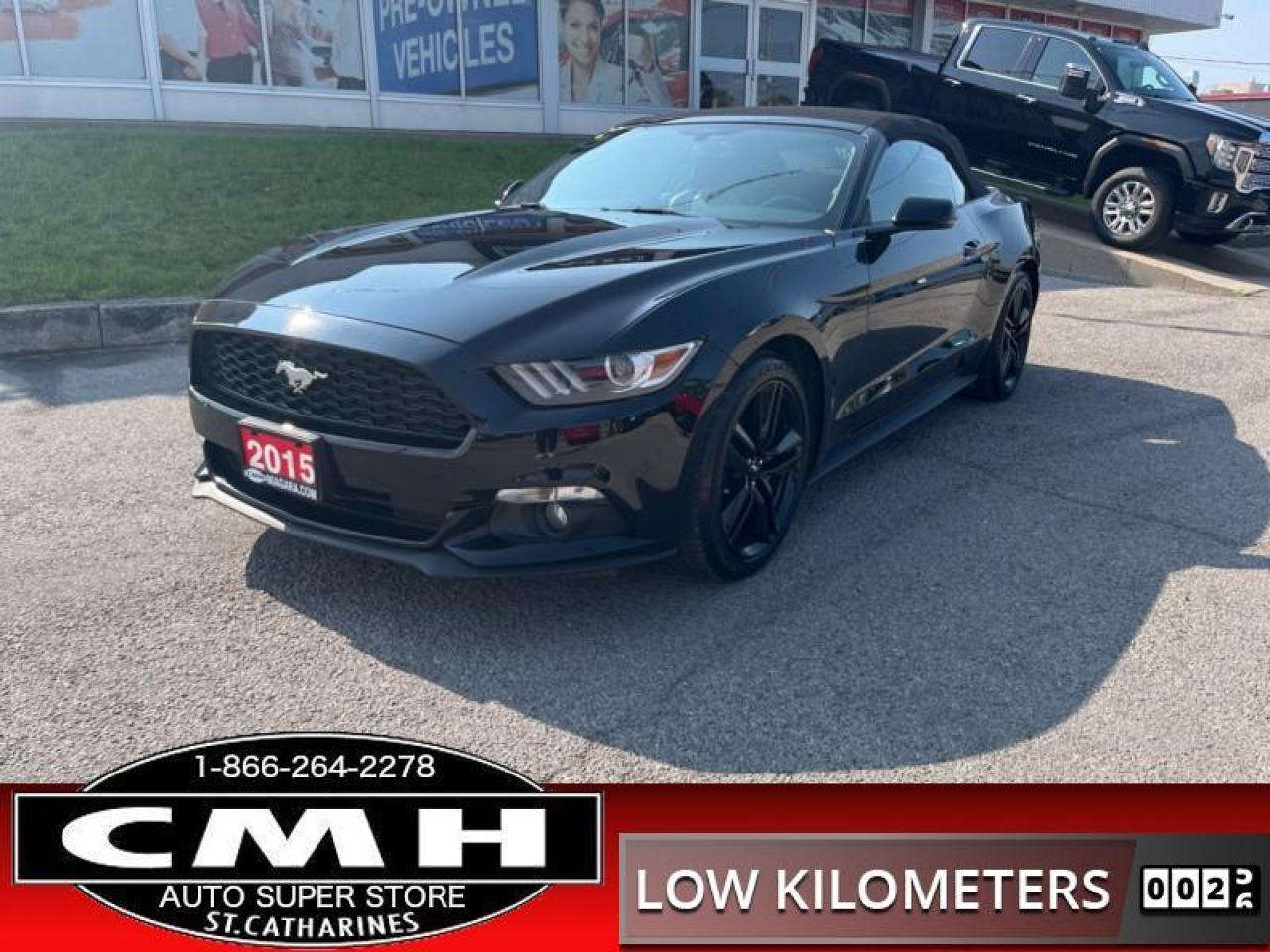 2015 Ford Mustang EcoBoost Premium  LOW-KMS NAV COLD-SEATS