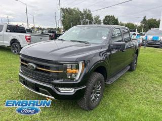 New 2023 Ford F-150 Tremor for sale in Embrun, ON