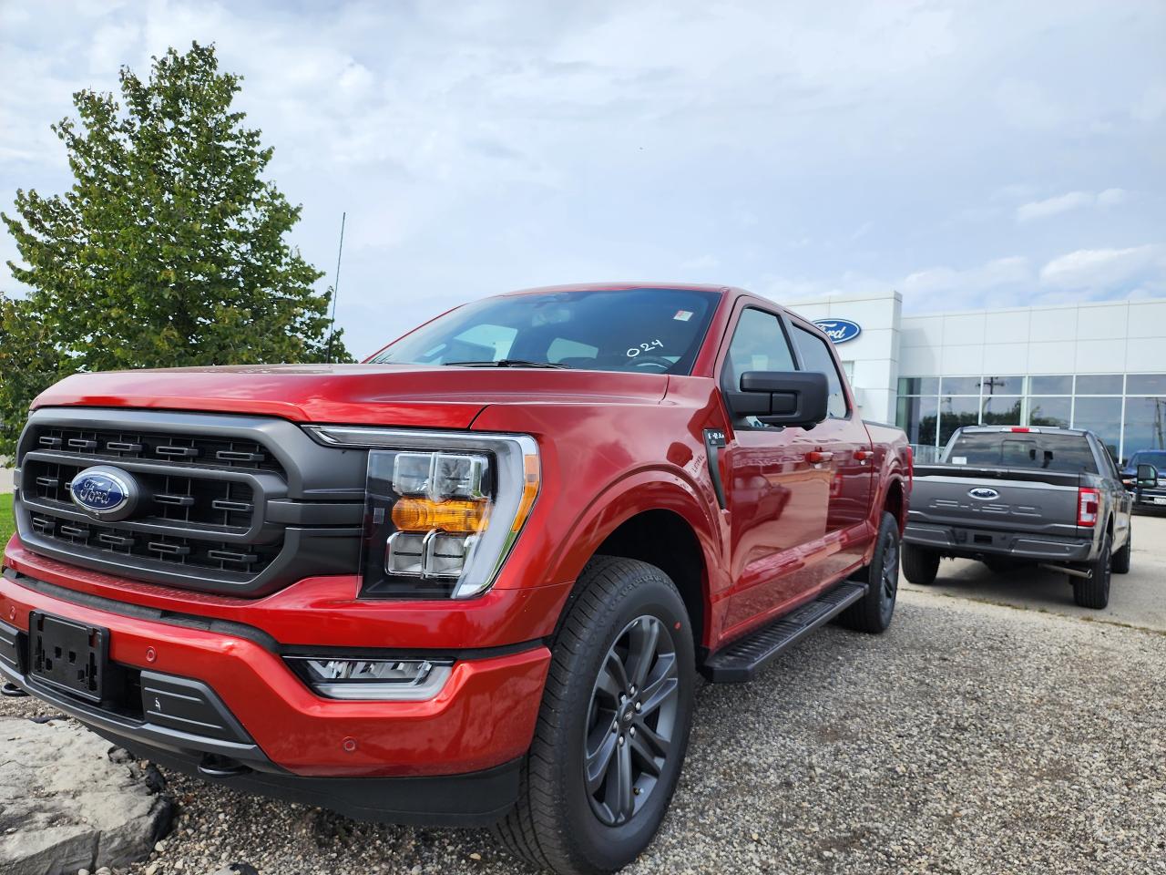 2023 Ford F-150 XLT Photo0