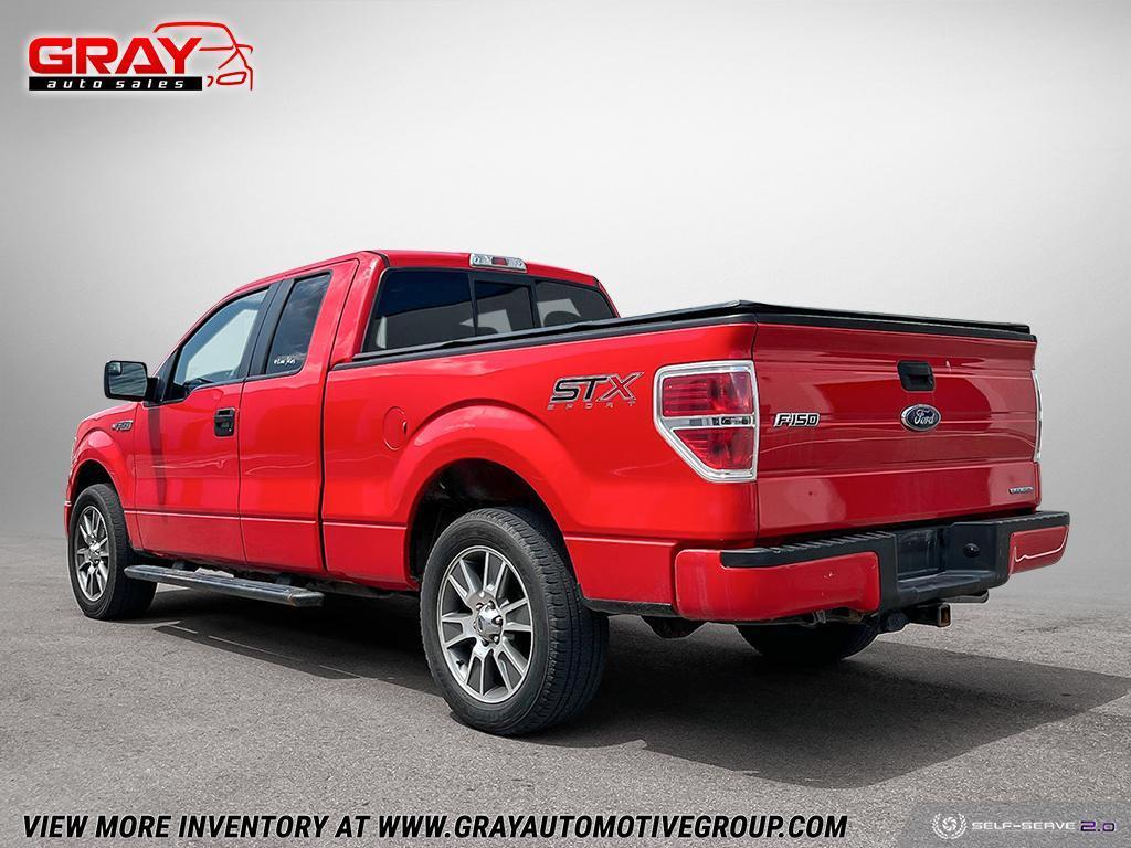 2014 Ford F-150  - Photo #3