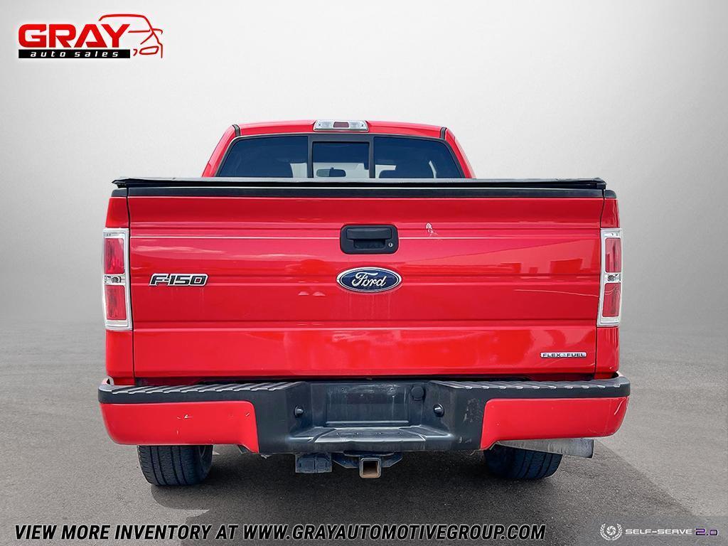 2014 Ford F-150  - Photo #4