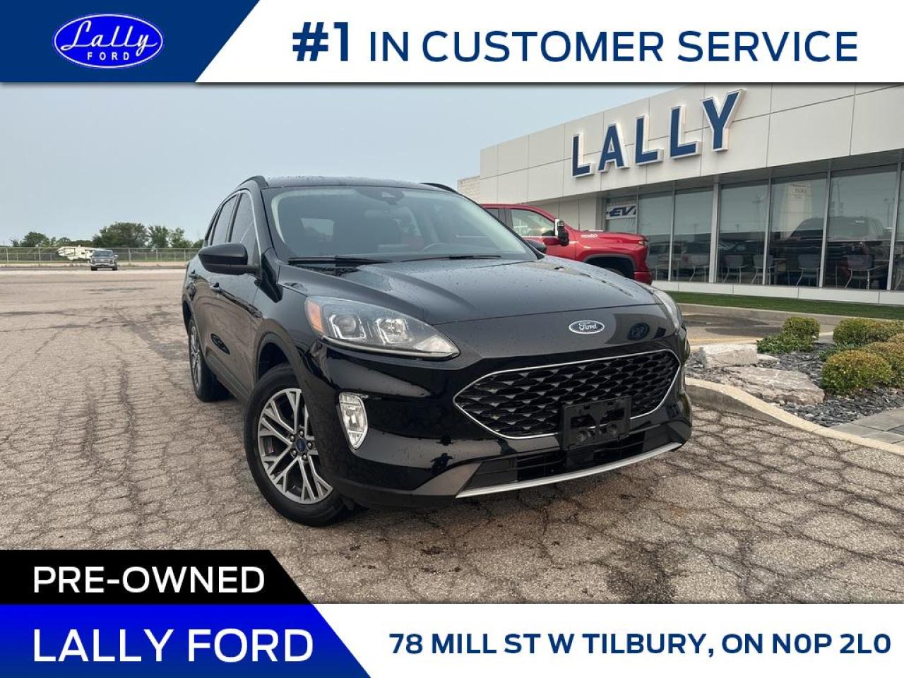 Used 2020 Ford Escape SEL, AWD, Nav, Leather, One Owner! for sale in Tilbury, ON