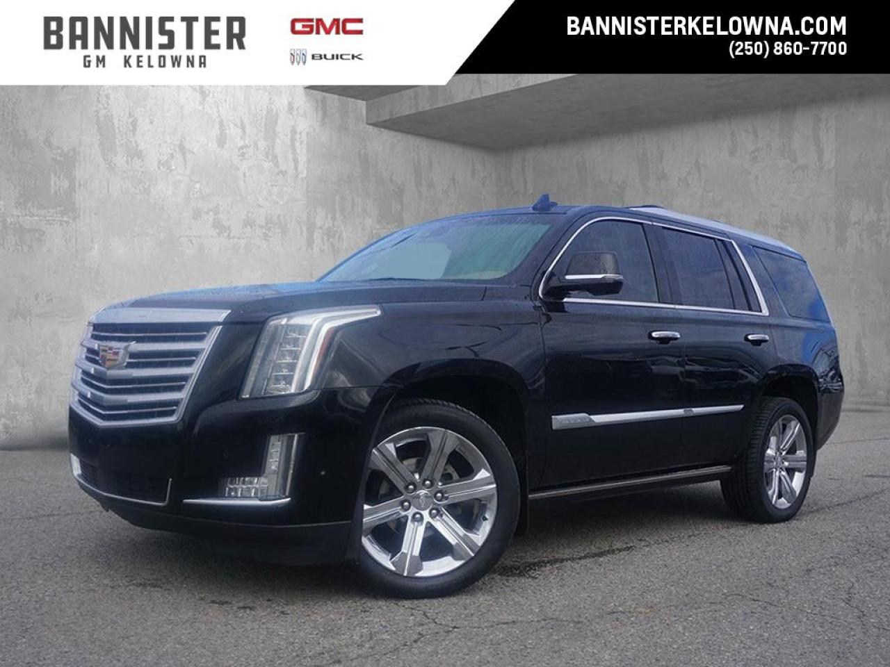 2017 Cadillac Escalade Platinum Photo1