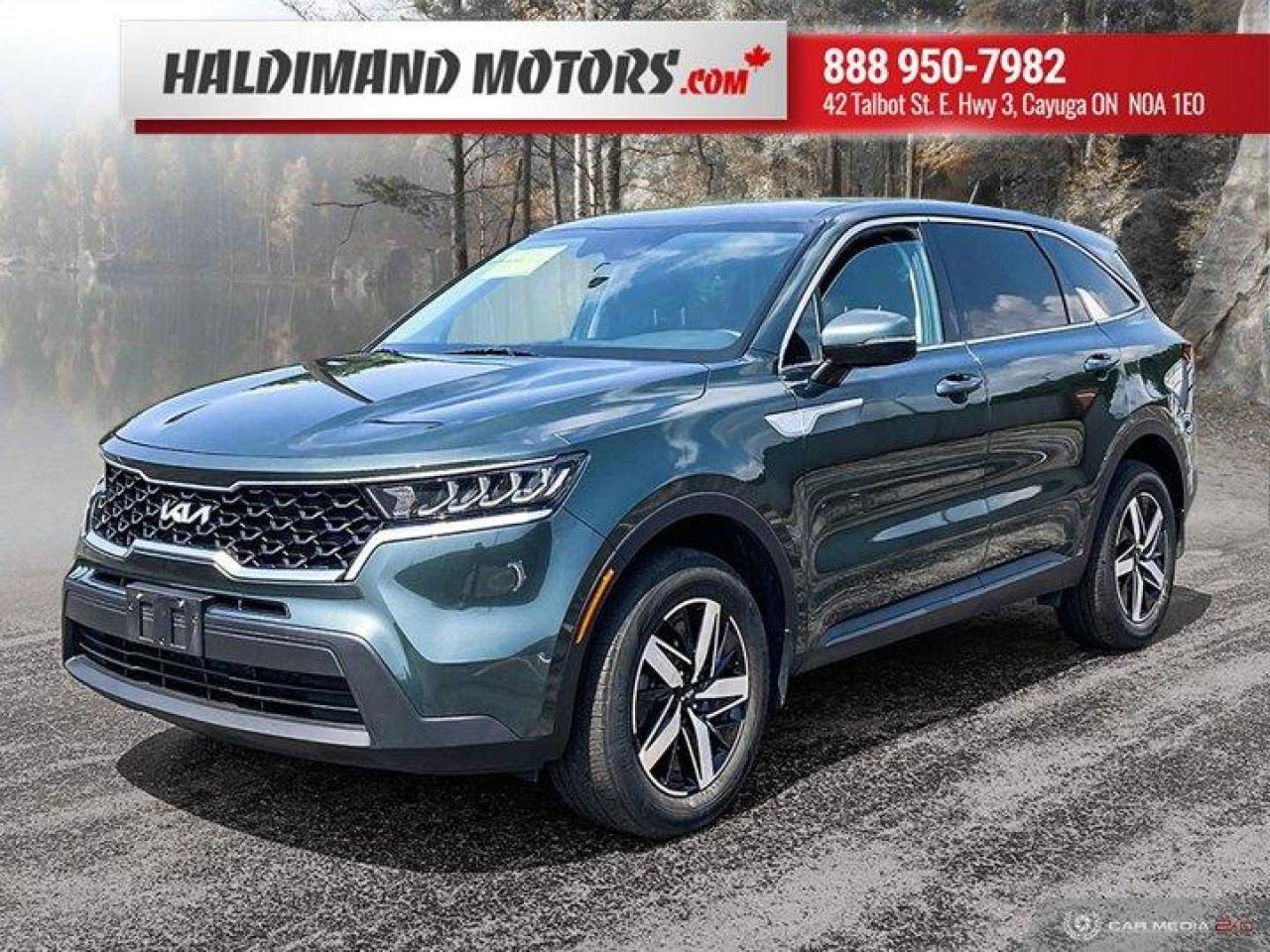 Used 2022 Kia Sorento LX Premium for sale in Cayuga, ON