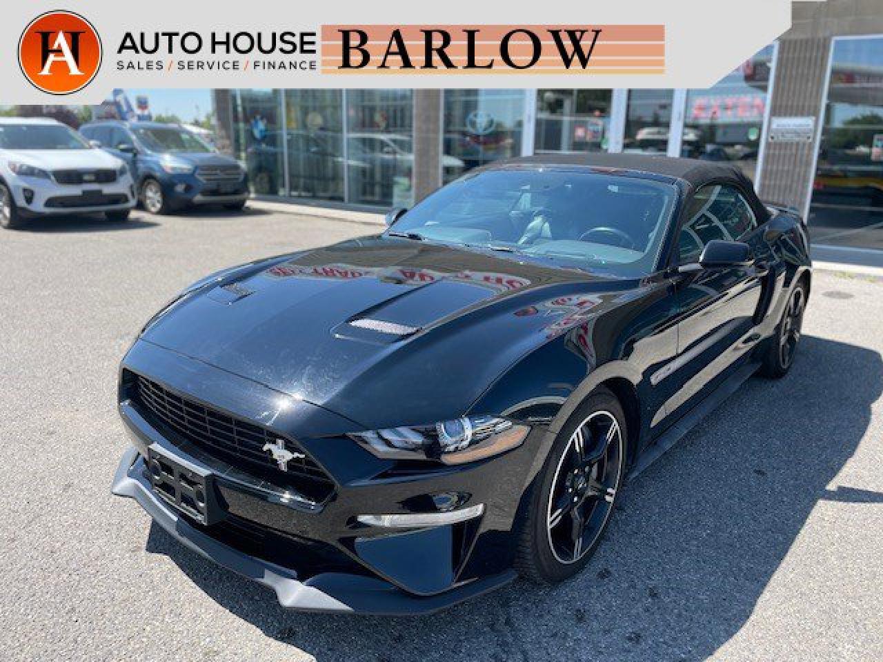 Used 2019 Ford Mustang GT PREMIUM | MANUAL | CONVERTIBLE | NAVIGATION | BACKUP CAMERA for sale in Calgary, AB