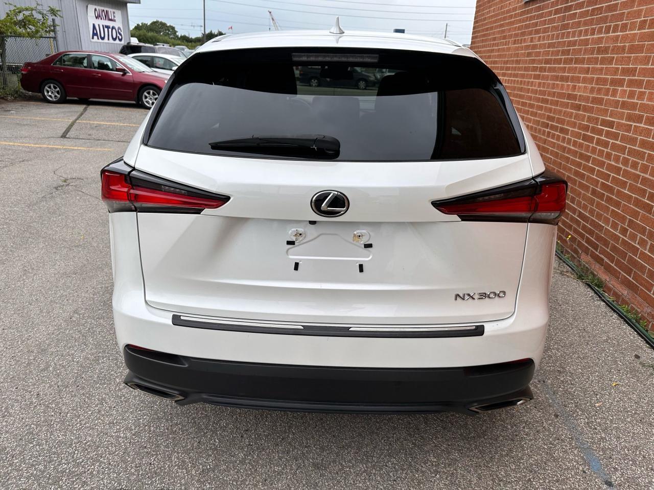 2020 Lexus NX NX 300 Photo