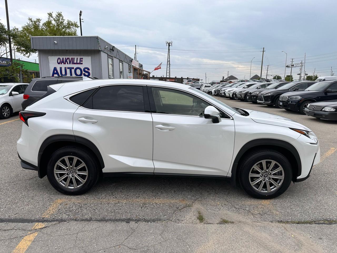 2020 Lexus NX NX 300 Photo