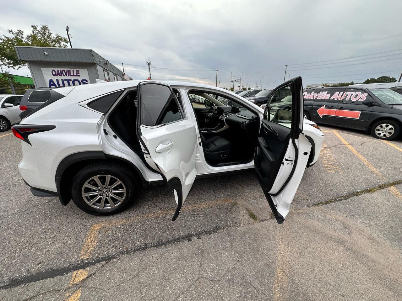 2020 Lexus NX NX 300 Photo