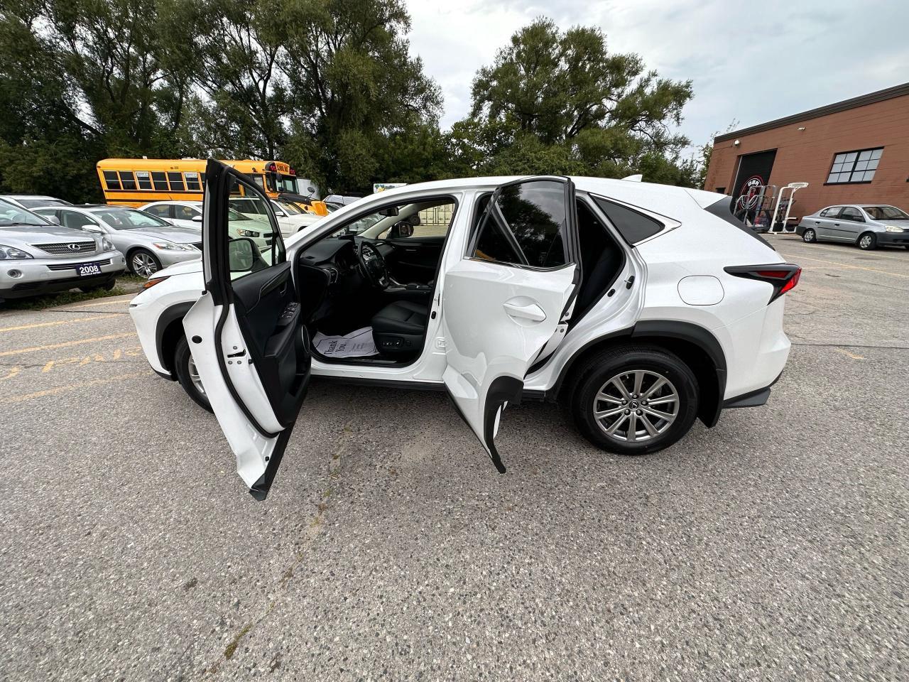 2020 Lexus NX NX 300 Photo