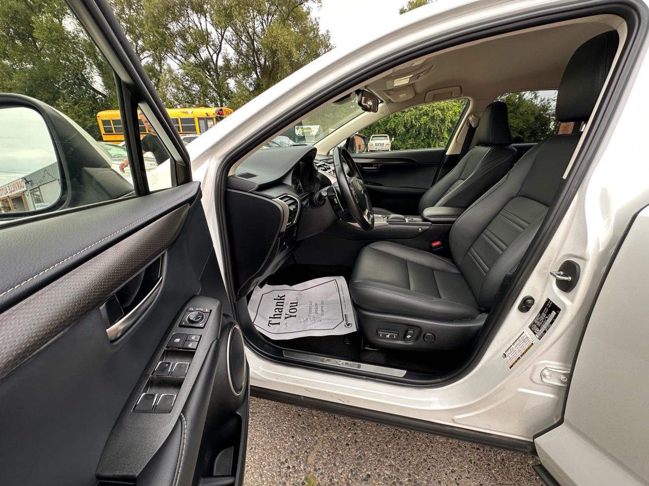 2020 Lexus NX NX 300 Photo