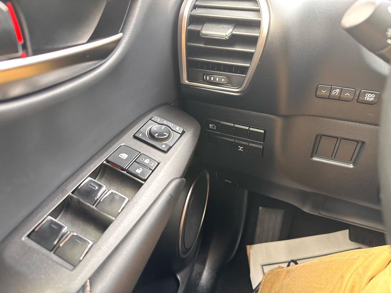 2020 Lexus NX NX 300 Photo