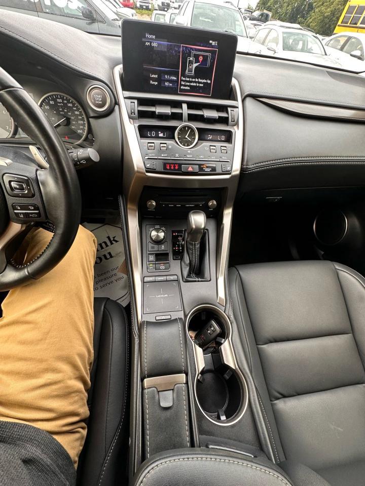 2020 Lexus NX NX 300 Photo